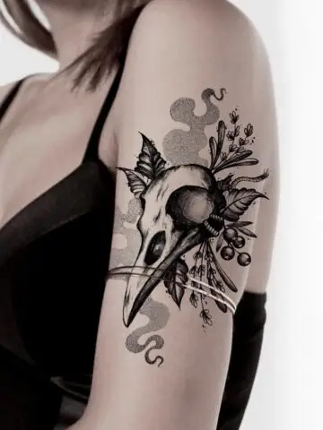 Raven Skull Tattoos